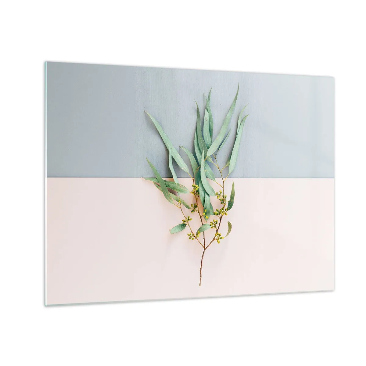 Obraz na szkle - Gałązka eukaliptusa na tle pastelowych kolorów - 70x50cm - Pastelowa subtelność - Nowoczesna dekoracja ścienna do salonu i sypialni ARTTOR