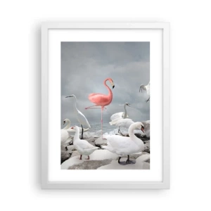 Plakat w białej ramie - Skąd się tu wziąłem? - 30x40 cm