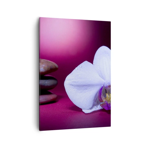 Obraz na płótnie - Biała orchidea z kroplami wody na różowym tle - 50x70cm - Studium świeżości w fiolecie - Nowoczesna dekoracja ścienna do salonu, kuchni i sypialni ARTTOR