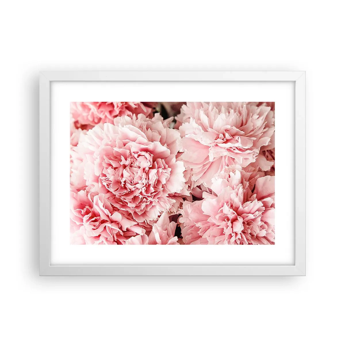 Plakat w białej ramie - Różowe marzenie - 40x30 cm