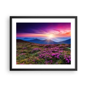 Plakat w czarnej ramie - Ziół zapachniały świeże pęki od niw - 50x40 cm