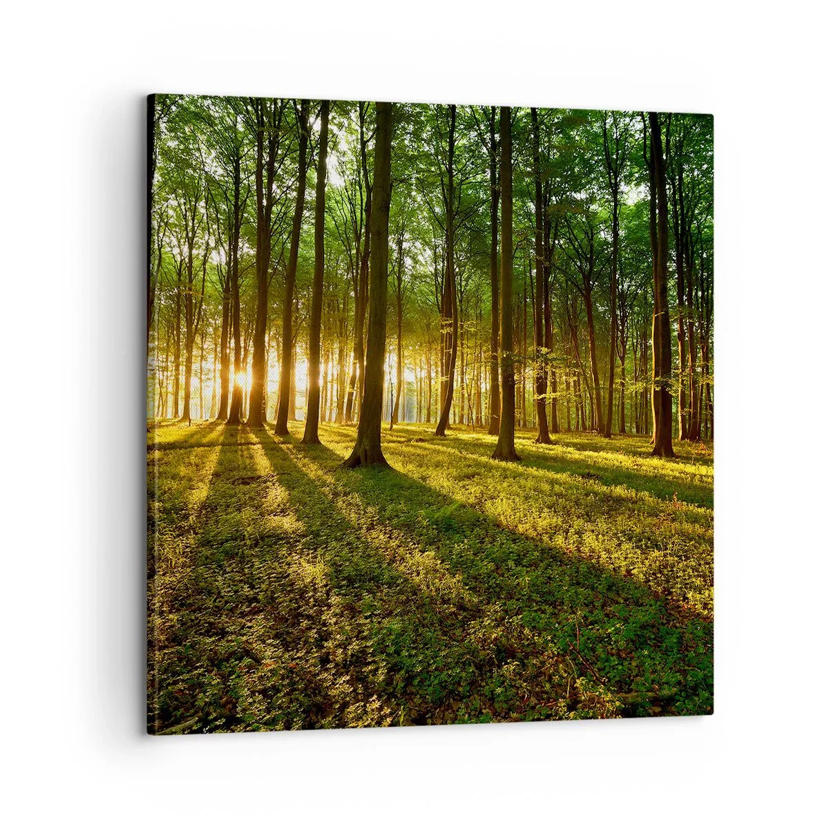 Obraz na płótnie - Fotografia wszystkich wiosen - 60x60 cm