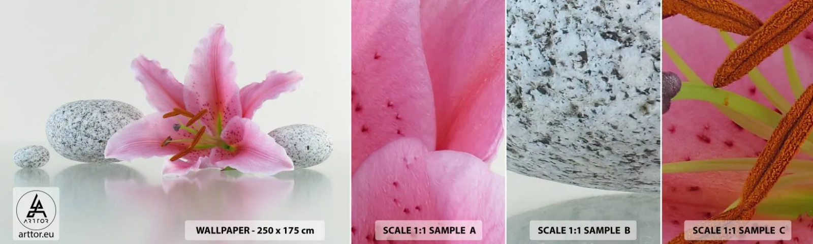 Fototapeta Próbka Standard Eco - Studium w różu, szarości i bieli - Kwiaty, Lilia, Kamienie - 100x30 cm