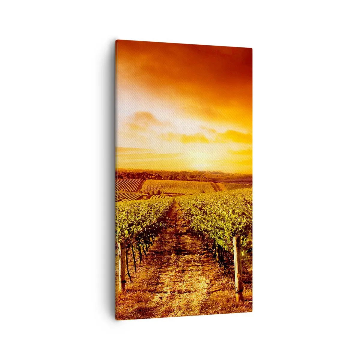 Obraz na płótnie - Delikatnie owocowe z nutą słońca - 55x100 cm