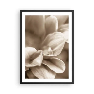 Plakat w czarnej ramie - Zbliżenie na delikatne płatki kwiatu w odcieniach sepii - 50x70cm - Łagodne jak uśmiech - Nowoczesna dekoracja ścienna do salonu i sypialni ARTTOR