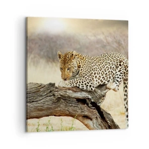 Obraz na płótnie - Chadzam własnymi drogami - 60x60 cm