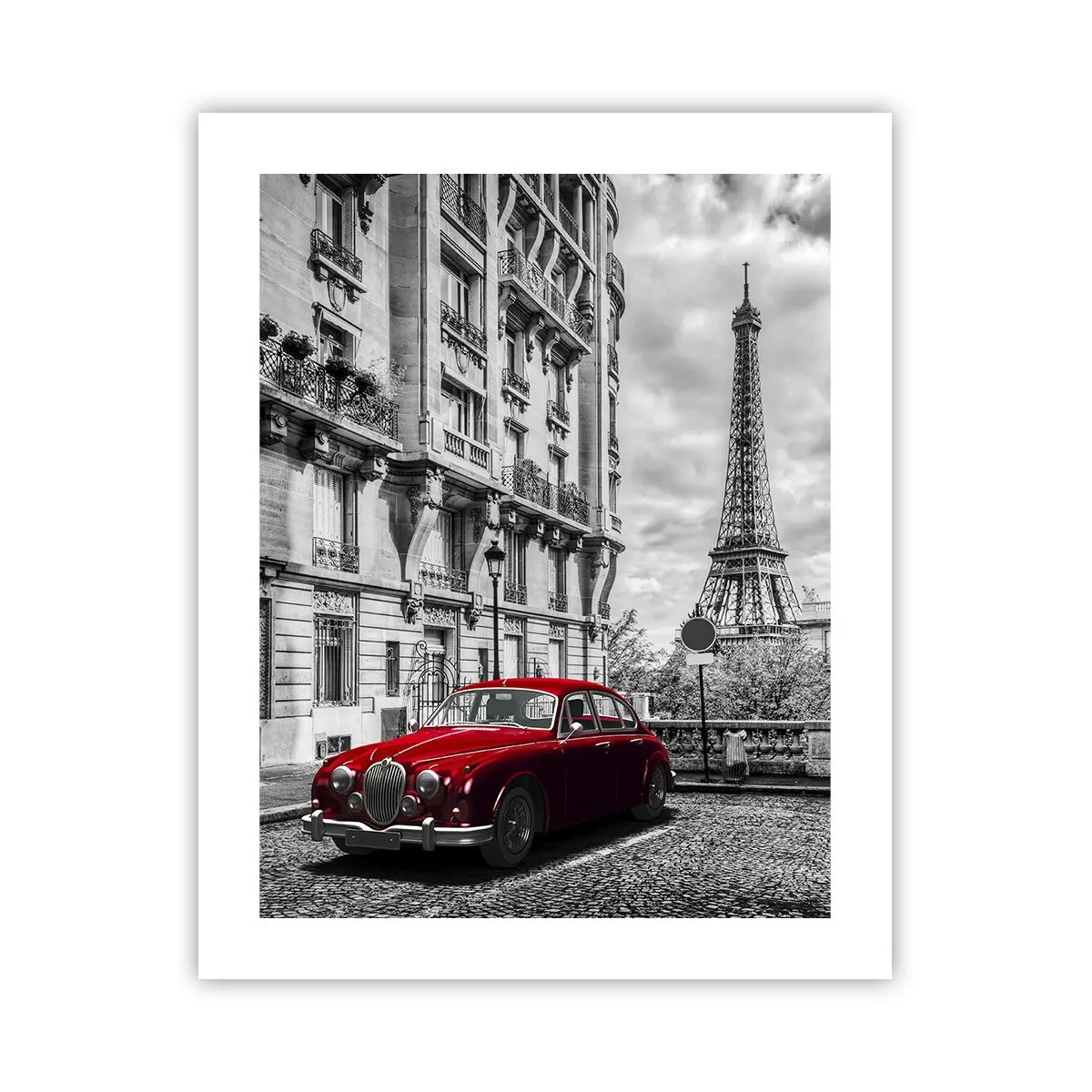 Plakat - Drapieżnik w mieście - 40x50 cm