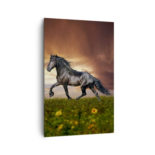 Obraz na płótnie - Czarny koń galopujący na tle zachodzącego słońca - 80x120cm - Czarny książę - Nowoczesna dekoracja ścienna do salonu i sypialni ARTTOR