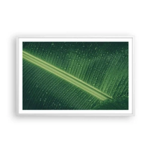 Plakat w białej ramie - Struktura zieleni - 91x61 cm