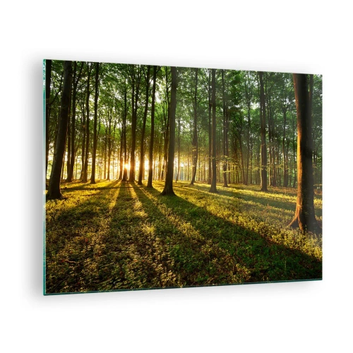 Obraz na szkle - Leśna polana oświetlona promieniami wschodzącego słońca - 70x50cm - Fotografia wszystkich wiosen - Nowoczesna dekoracja ścienna do salonu i sypialni ARTTOR