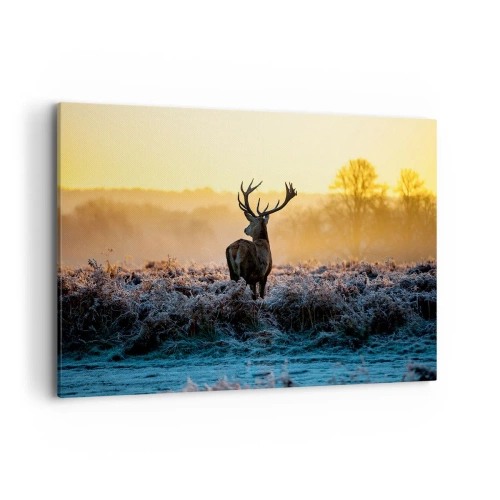 Obraz na płótnie - Jeleń na mroźnej polanie o wschodzie słońca - 120x80cm - Koronowany na swoich włościach - Nowoczesna dekoracja ścienna do salonu, kuchni i sypialni ARTTOR
