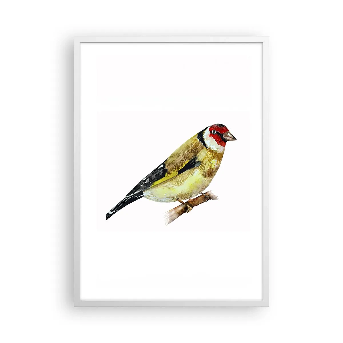 Plakat w białej ramie - Ptasi portret - 50x70 cm