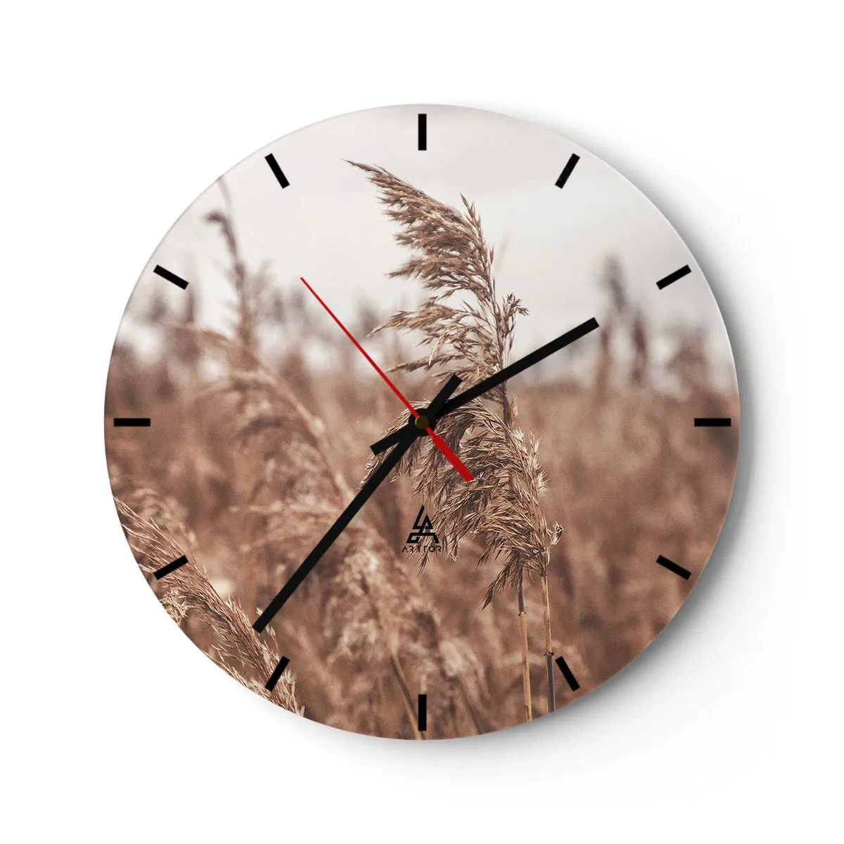 Zegar ścienny - Jesienne trawy kołyszące się na wietrze w naturalnych barwach - 30x30cm - Na polach już jesień - Nowoczesna dekoracja ścienna do salonu, kuchni i sypialni ARTTOR