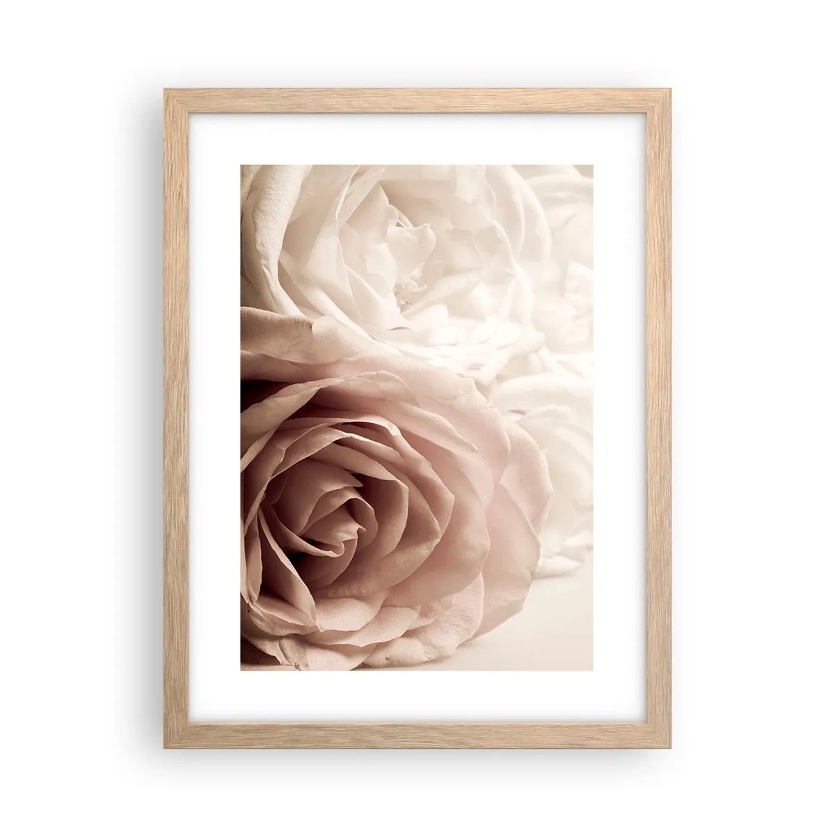 Plakat w ramie jasny dąb - W sercu róży - 30x40 cm