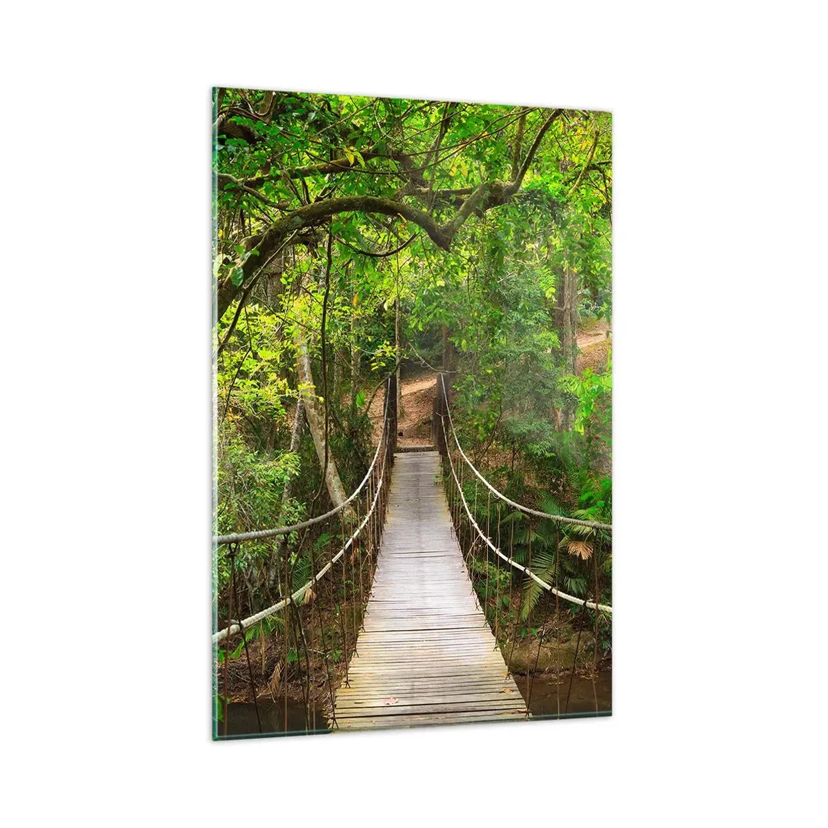 Obraz na szkle - Wiszący most w otoczeniu zielonego lasu deszczowego - 80x120cm - Bo w ogrodzie rośnie pnącze - Nowoczesna dekoracja ścienna do salonu i sypialni ARTTOR