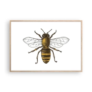 Plakat w ramie jasny dąb - Piękna i dobra - 100x70 cm