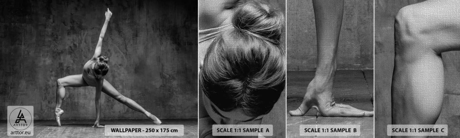 Fototapeta Próbka Premium Canvas - Ideał równowagi - Gimnastyka, Balet, Taniec - 100x30 cm