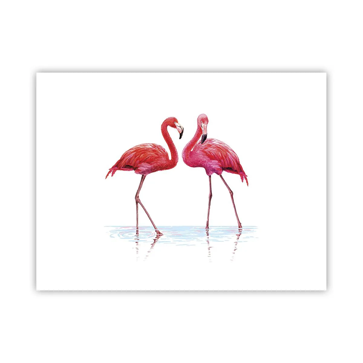 Plakat - Różowe randez-vous - 40x30 cm
