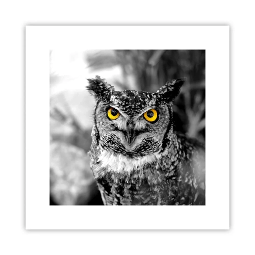 Plakat - Nic się nie ukryje - 30x30 cm