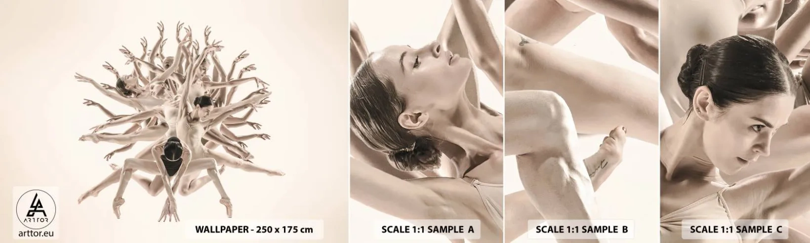 Fototapeta Próbka Standard Eco - Rozkwitanie w tańcu - Abstrakcja, Sztuka, Balet - 100x30 cm