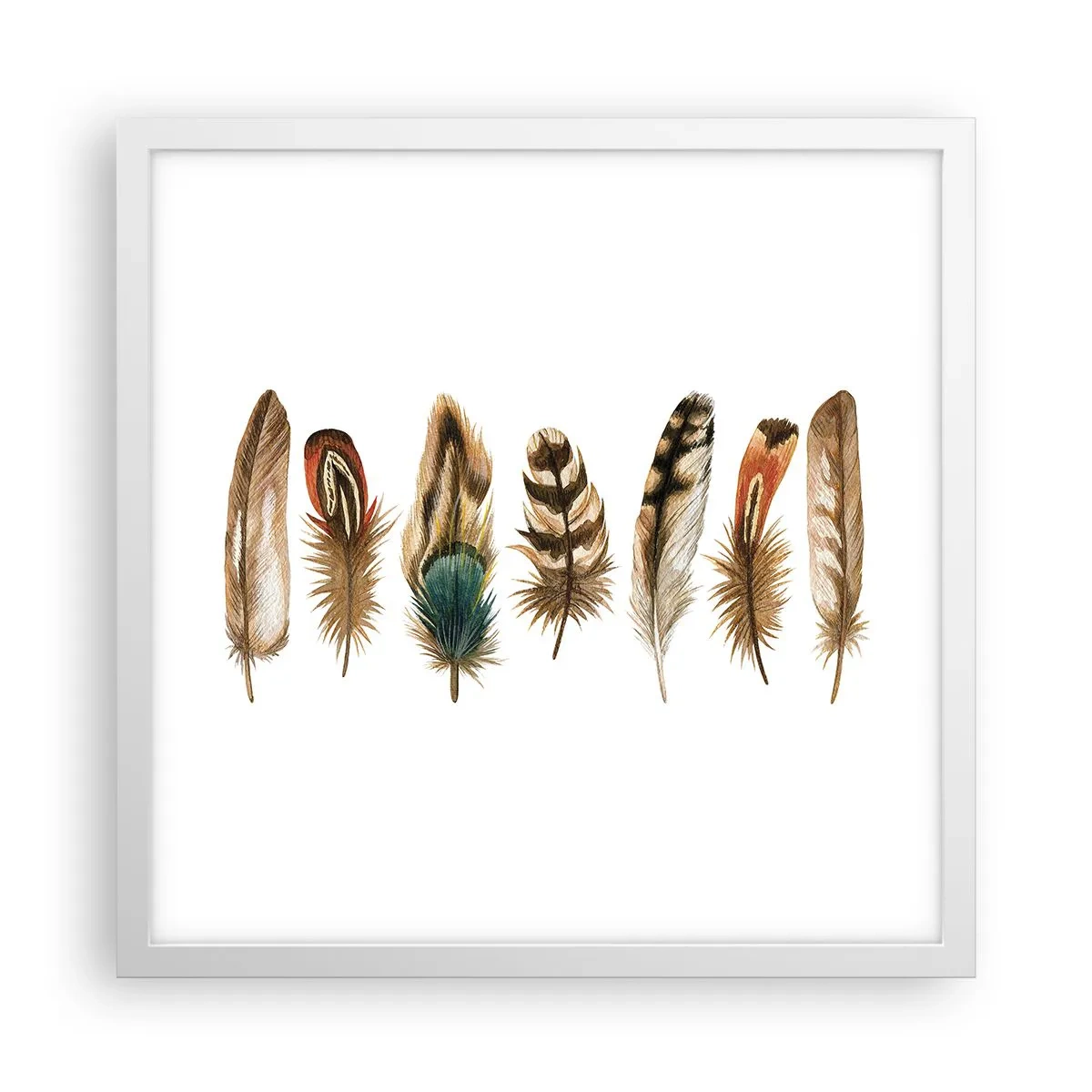 Plakat w białej ramie - Pierzasta wariacja - 40x40 cm