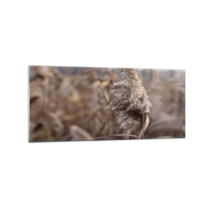 Obraz na szkle - Delikatne trawy w odcieniach beżu na tle natury - 120x50cm - Czas odlecieć z wiatrem - Nowoczesna dekoracja ścienna do salonu i sypialni ARTTOR
