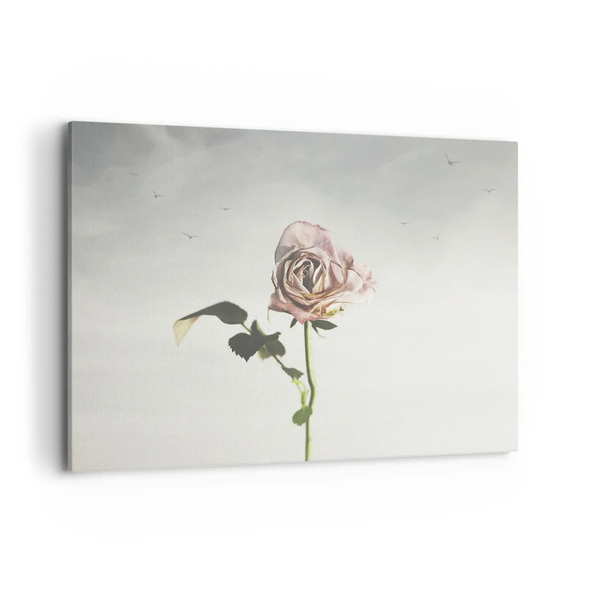 Obraz na płótnie - Delikatna róża na tle jasnego nieba z lecącymi ptakami - 100x70cm - Powitanie wiosny - Nowoczesna dekoracja ścienna do salonu, kuchni i sypialni ARTTOR