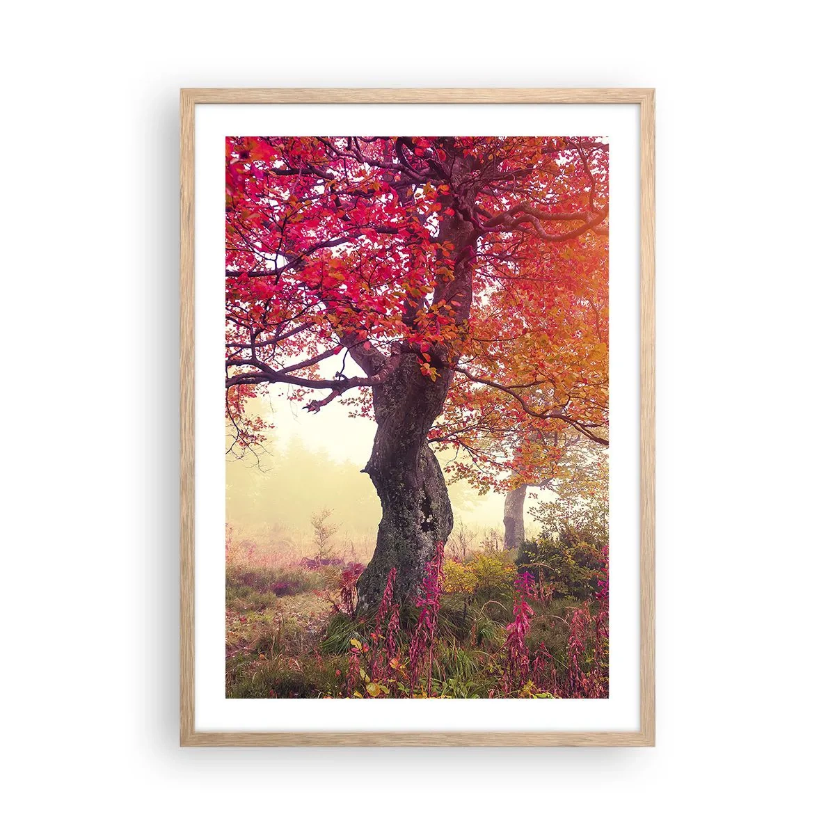 Plakat w ramie jasny dąb - Szał rozkwitu - 50x70 cm