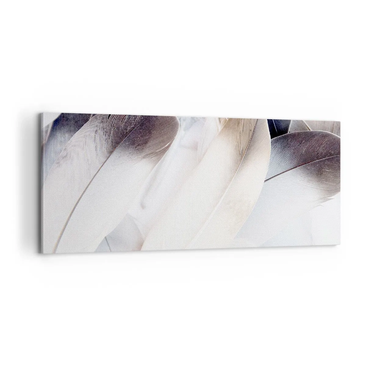 Obraz na płótnie - Niemal anielskie - 100x40 cm