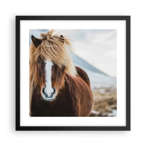 Plakat w czarnej ramie - Czujesz wolność? - 40x40 cm