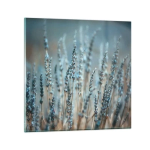 Obraz na szkle - Pachnący łan - 60x60 cm