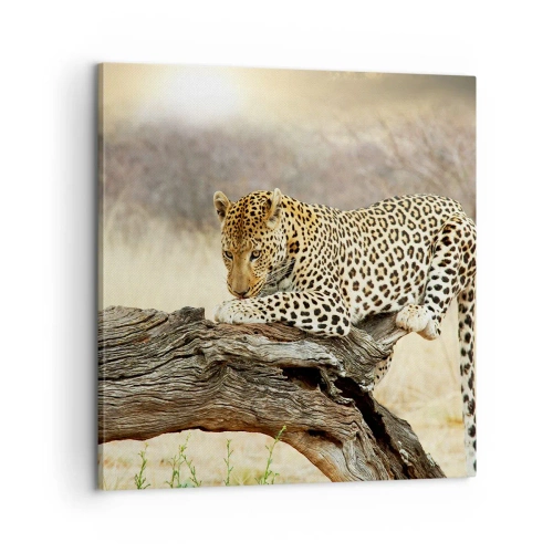 Obraz na płótnie - Chadzam własnymi drogami - 60x60 cm