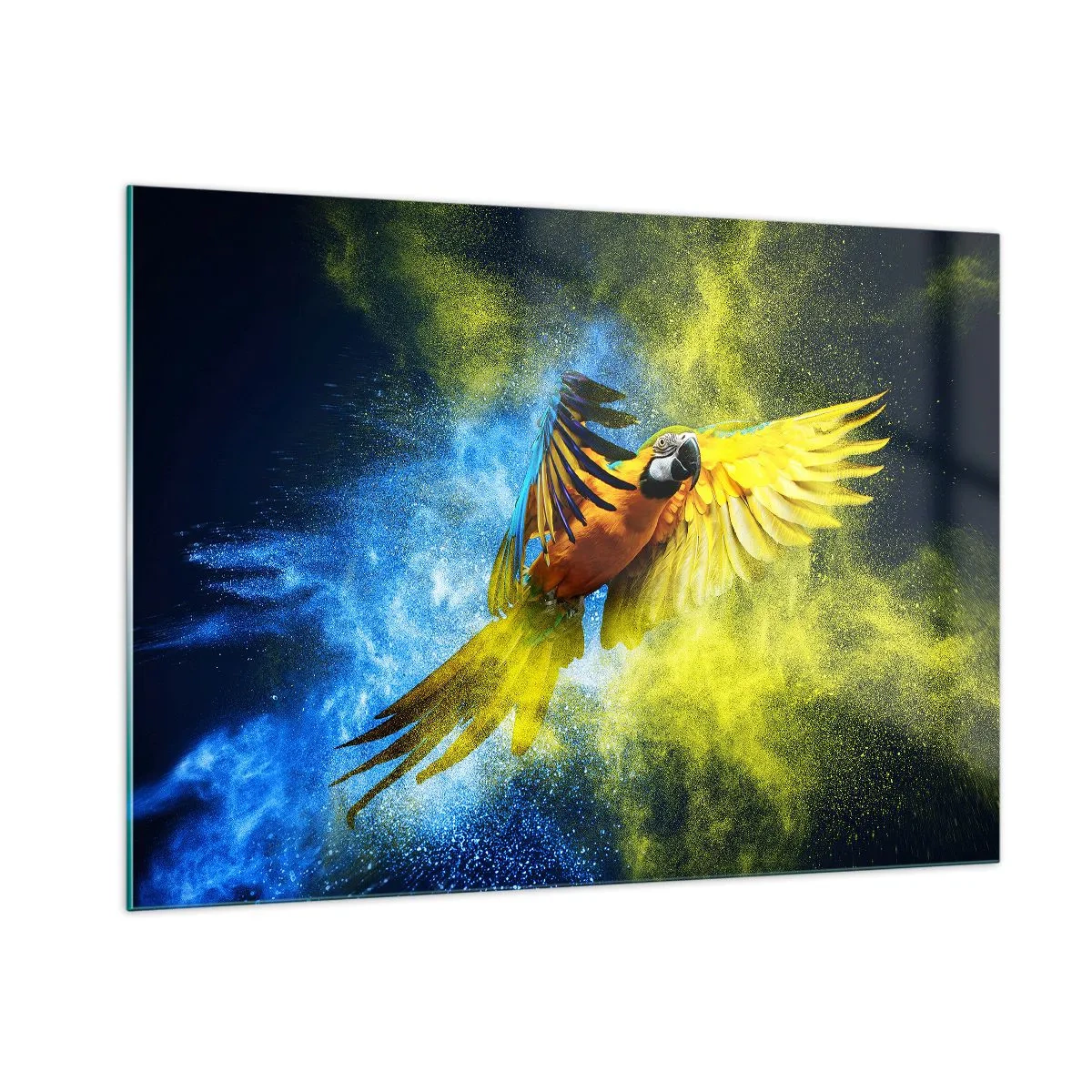 Obraz na szkle - Kolorowa papuga w locie na tle żółto-niebieskim - 100x70cm - W błękitno-złotym pyle - Nowoczesna dekoracja ścienna do salonu, kuchni i sypialni ARTTOR