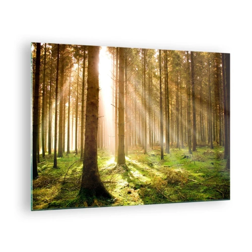 Obraz na szkle - Promienie słońca przenikające przez drzewa w lesie - 70x50cm - Zaraz pojawią się elfy - Nowoczesna dekoracja ścienna do salonu i sypialni ARTTOR