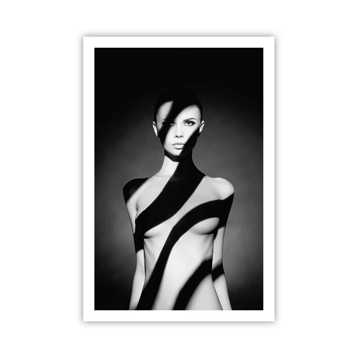 Plakat - W blasku i w cieniu - 61x91 cm