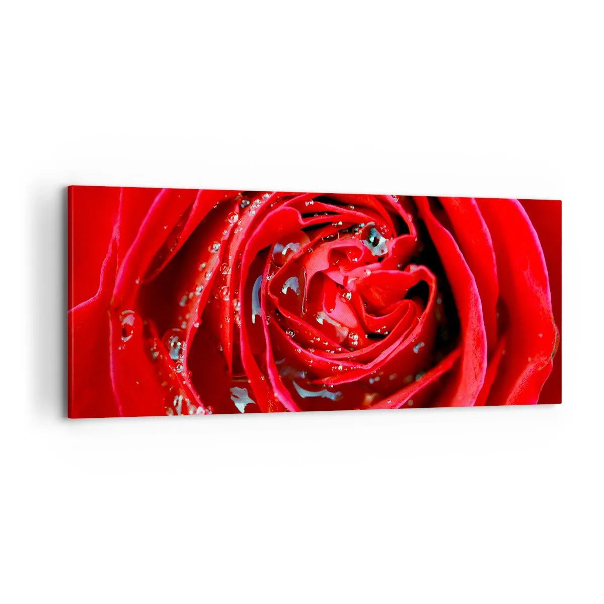 Obraz na płótnie - W kroplach rosy - 100x40 cm