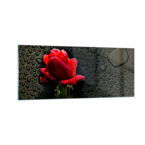 Obraz na szkle - Czerwone i czarne - 100x40 cm