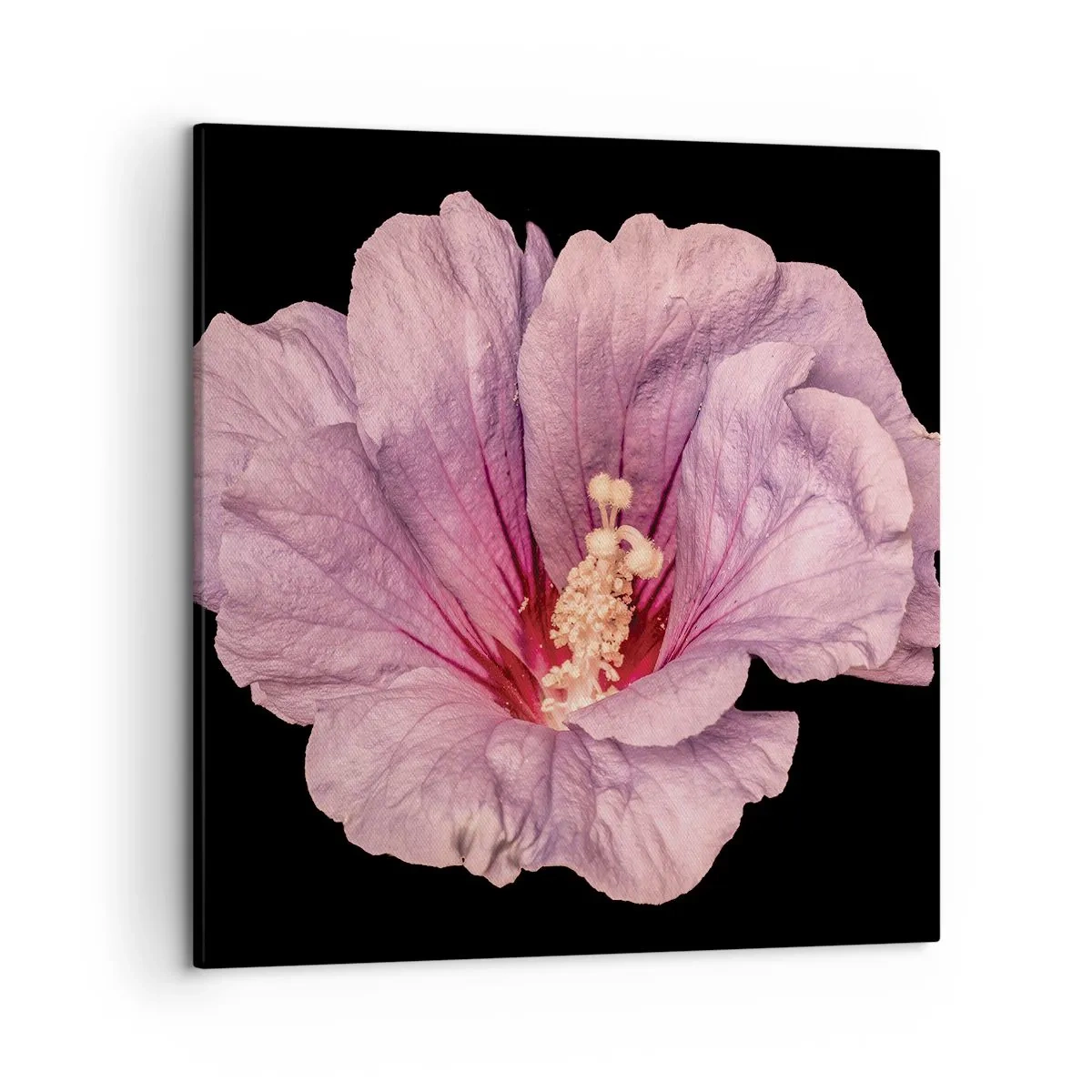 Obraz na płótnie - Prosto do serca - 50x50 cm