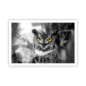 Plakat - Nic się nie ukryje - 91x61 cm