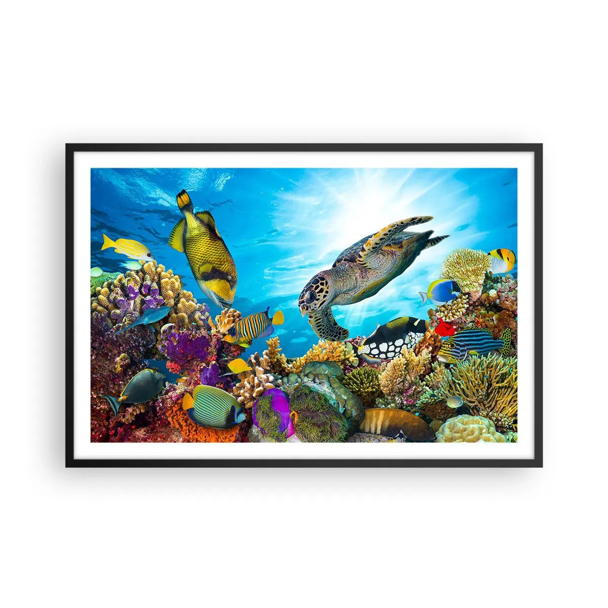 Plakat w czarnej ramie - Koralowa promenada - 91x61 cm