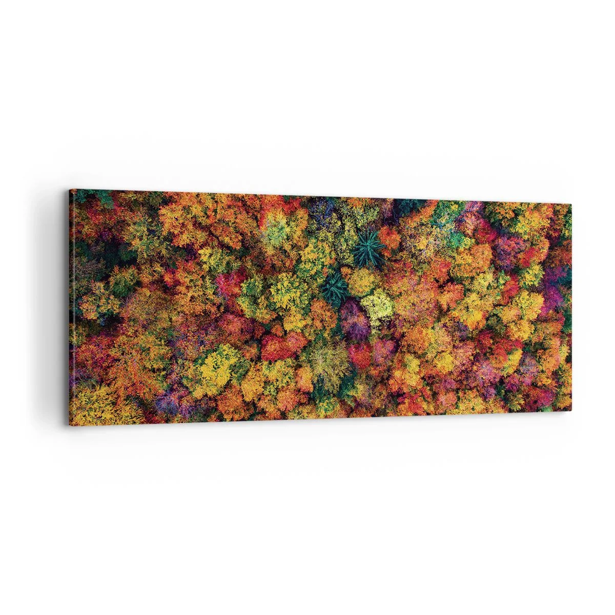 Obraz na płótnie - Bukiet jesiennych drzew - 100x40 cm