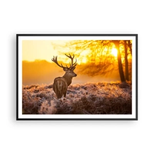 Plakat w czarnej ramie - Jeleń na tle jesiennego lasu oświetlonego złotym słońcem - 100x70cm - Król jesiennego lasu - Nowoczesna dekoracja ścienna do salonu i sypialni ARTTOR