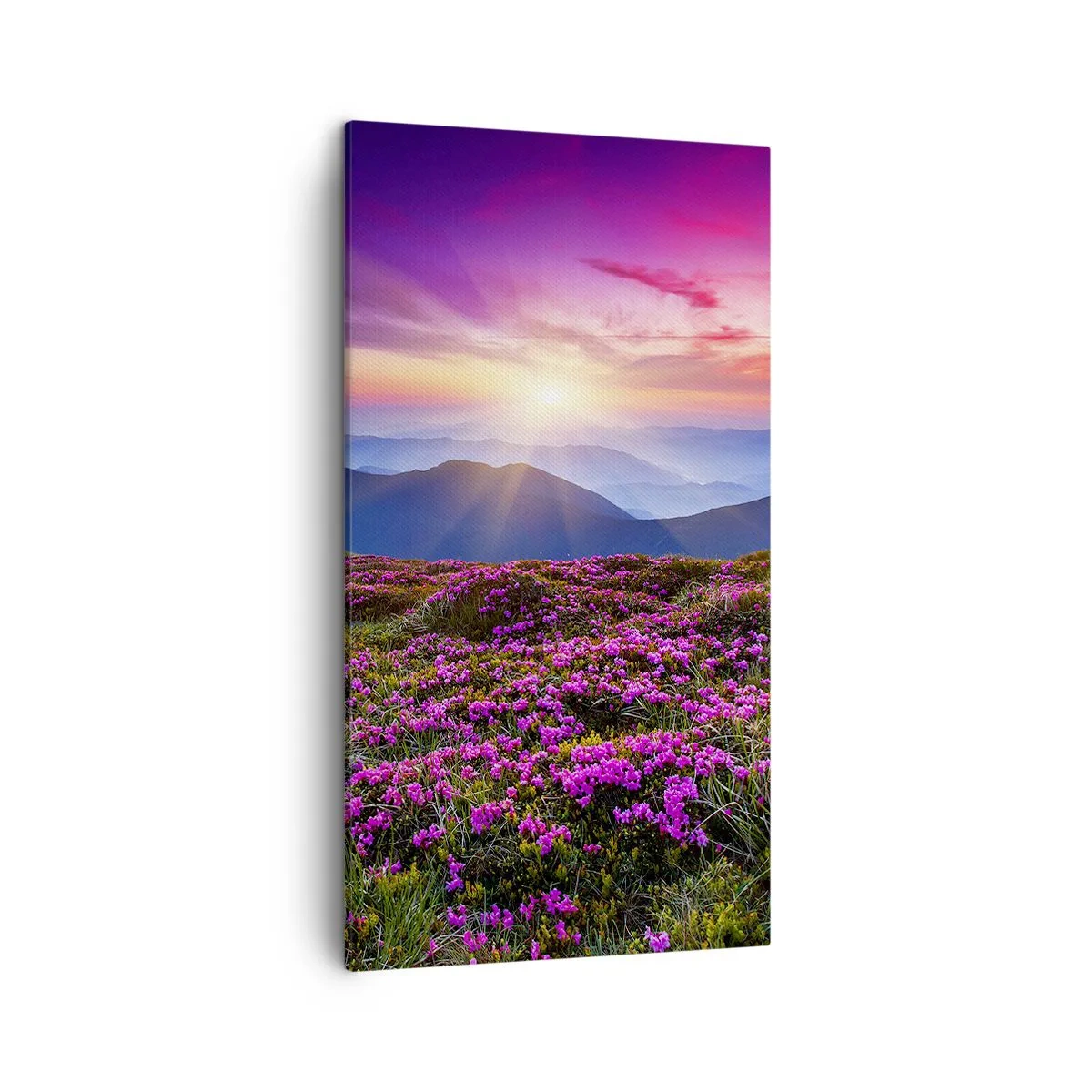 Obraz na płótnie - Ziół zapachniały świeże pęki od niw - 45x80 cm