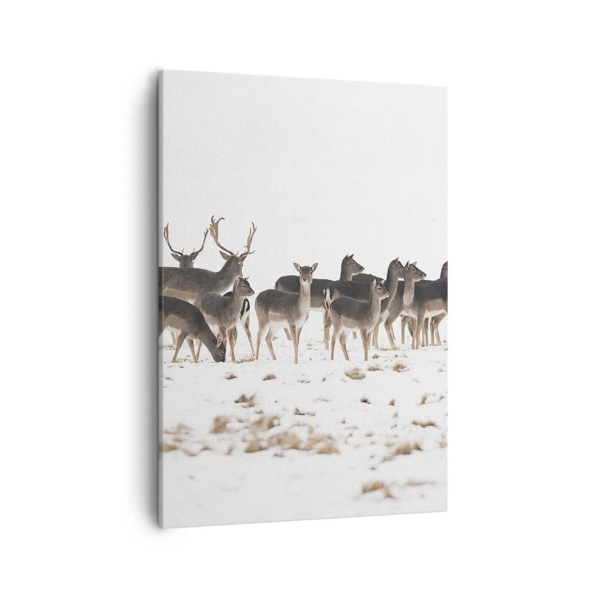 Obraz na płótnie - Stado jeleni na zaśnieżonej polanie w zimowej scenerii - 50x70cm - Idą święta? - Nowoczesna dekoracja ścienna do salonu, kuchni i sypialni ARTTOR