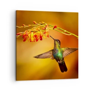 Obraz na płótnie - Posłaniec światła wg Majów - 50x50 cm