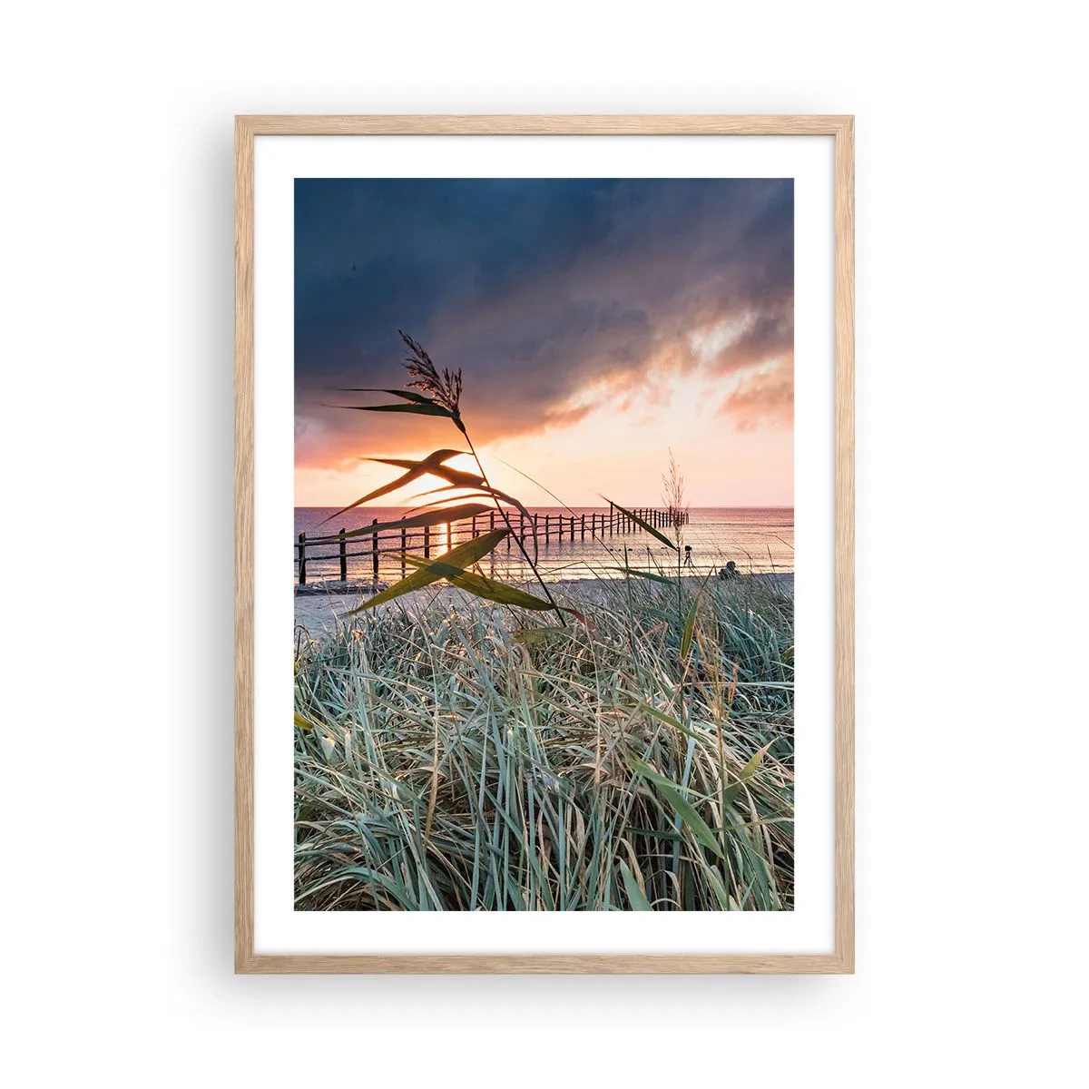 Plakat w ramie jasny dąb - Nie przemija z wiatrem - 50x70 cm