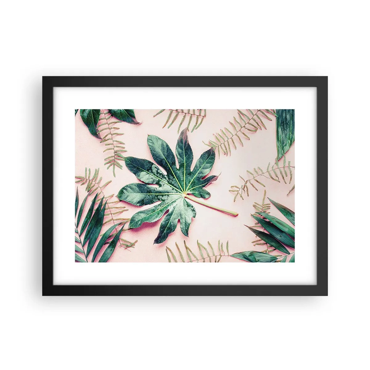 Plakat w czarnej ramie - Studium zieleni na różowym tle - 40x30 cm
