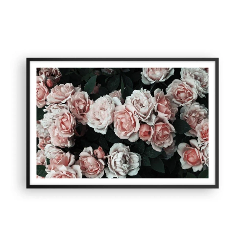 Plakat w czarnej ramie - Różany ansamble - 91x61 cm