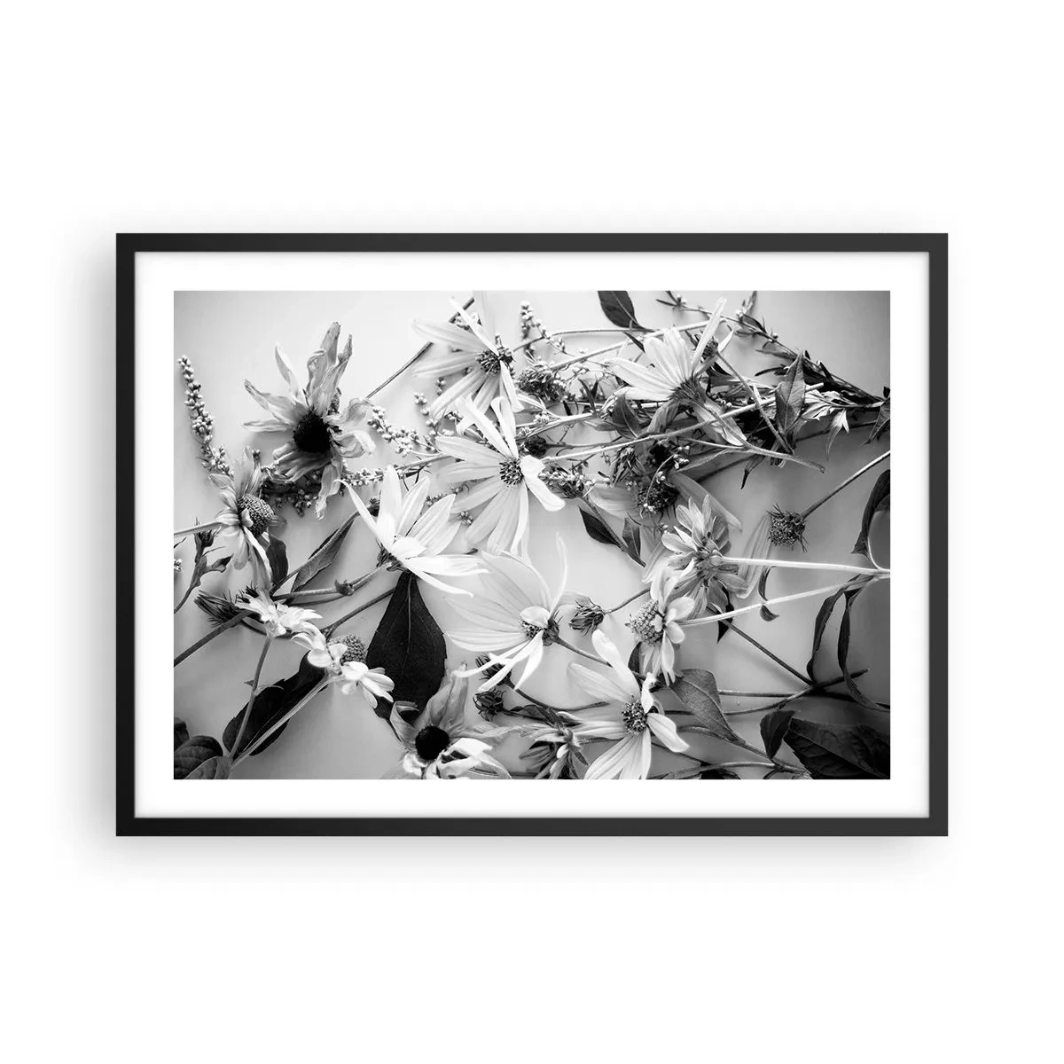 Plakat w czarnej ramie - Czarno-białe kompozycje kwiatów w subtelnym artystycznym stylu - 70x50cm - Nie-bukiet kwiatów - Nowoczesna dekoracja ścienna do salonu i sypialni ARTTOR
