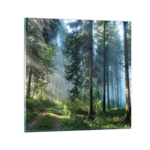 Obraz na szkle - Rozpromieniony o poranku - 60x60 cm